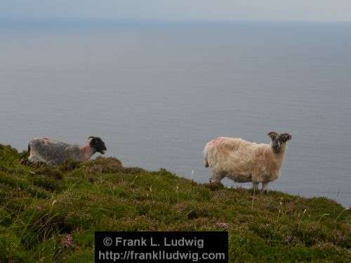 Slieve League